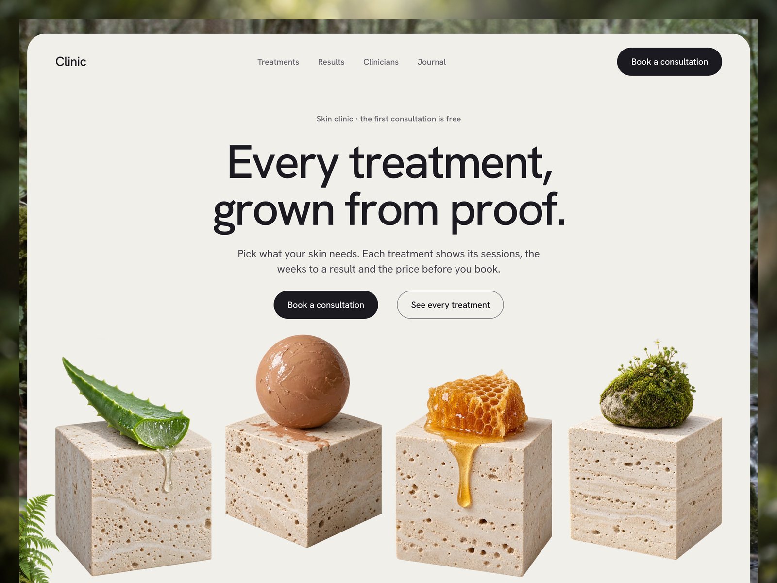 Dermis website template preview